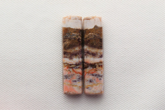 Rectangle pair of Petrified Wood Cabochons