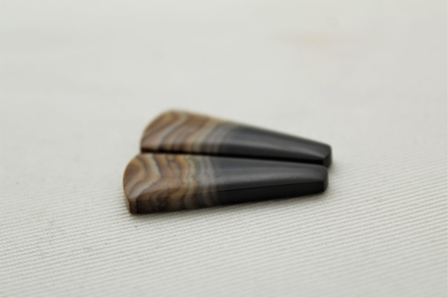 Small pair of Petrified Wood Cabochons