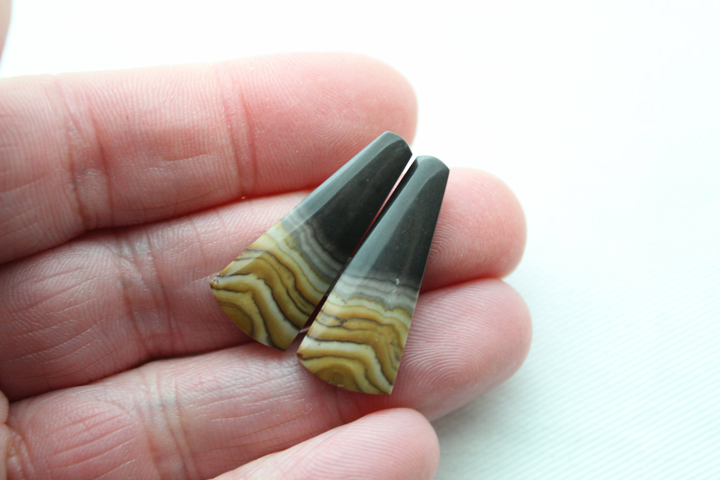 Small pair of Petrified Wood Cabochons