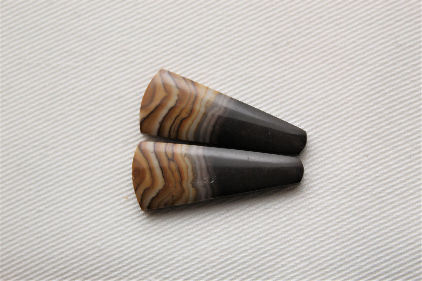 Small pair of Petrified Wood Cabochons