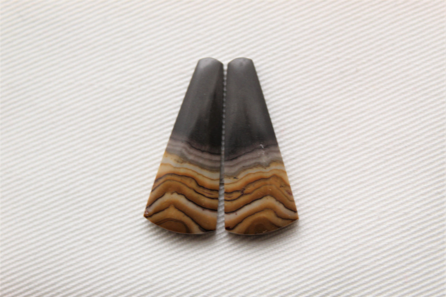 Small pair of Petrified Wood Cabochons