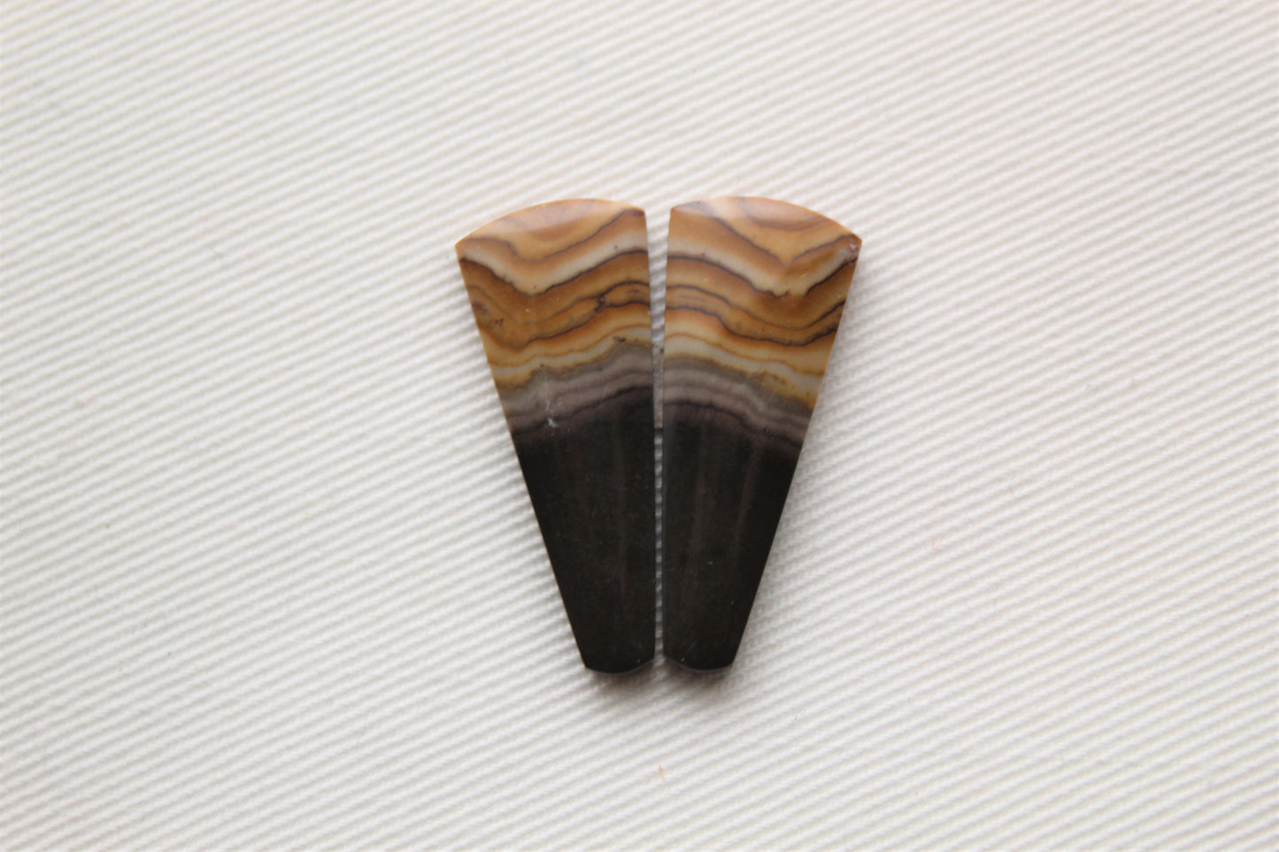 Small pair of Petrified Wood Cabochons