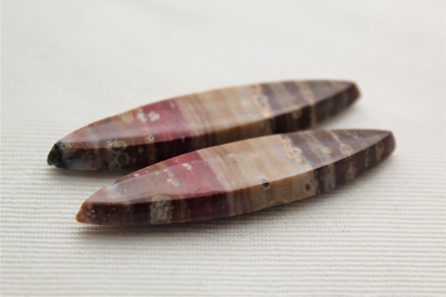 Marquise pair of Petrified Wood Cabochons red