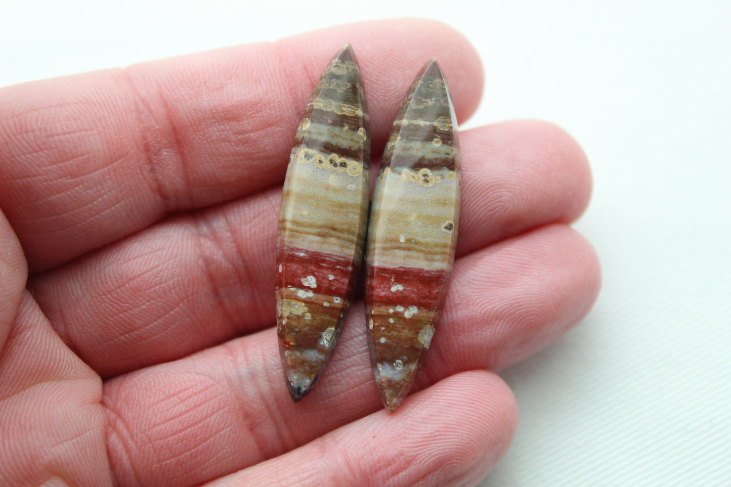 Marquise pair of Petrified Wood Cabochons red