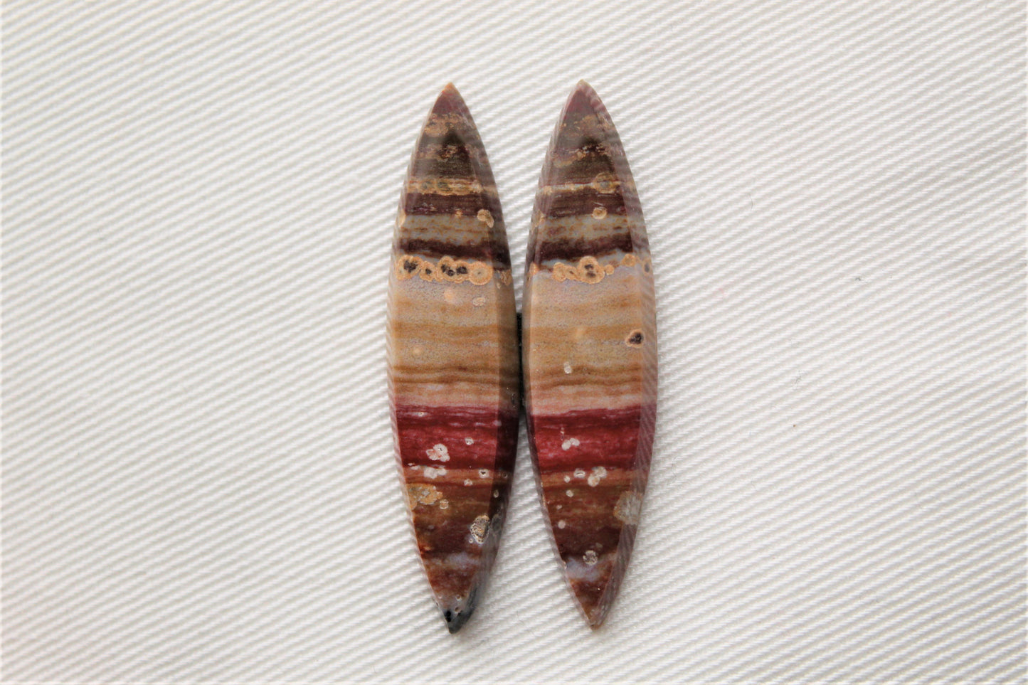 Marquise pair of Petrified Wood Cabochons red