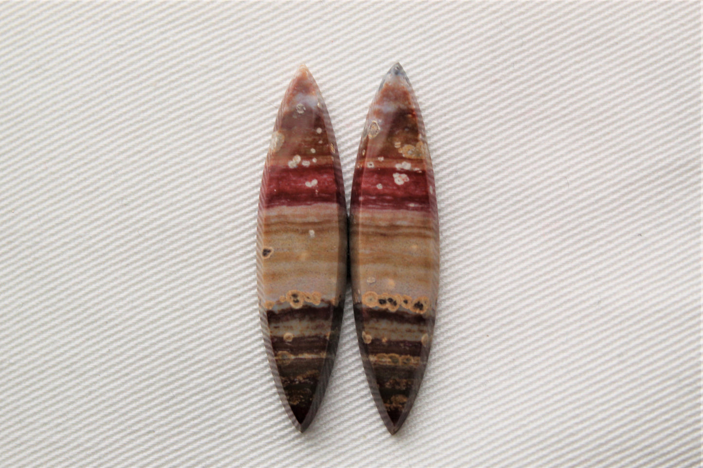 Marquise pair of Petrified Wood Cabochons red