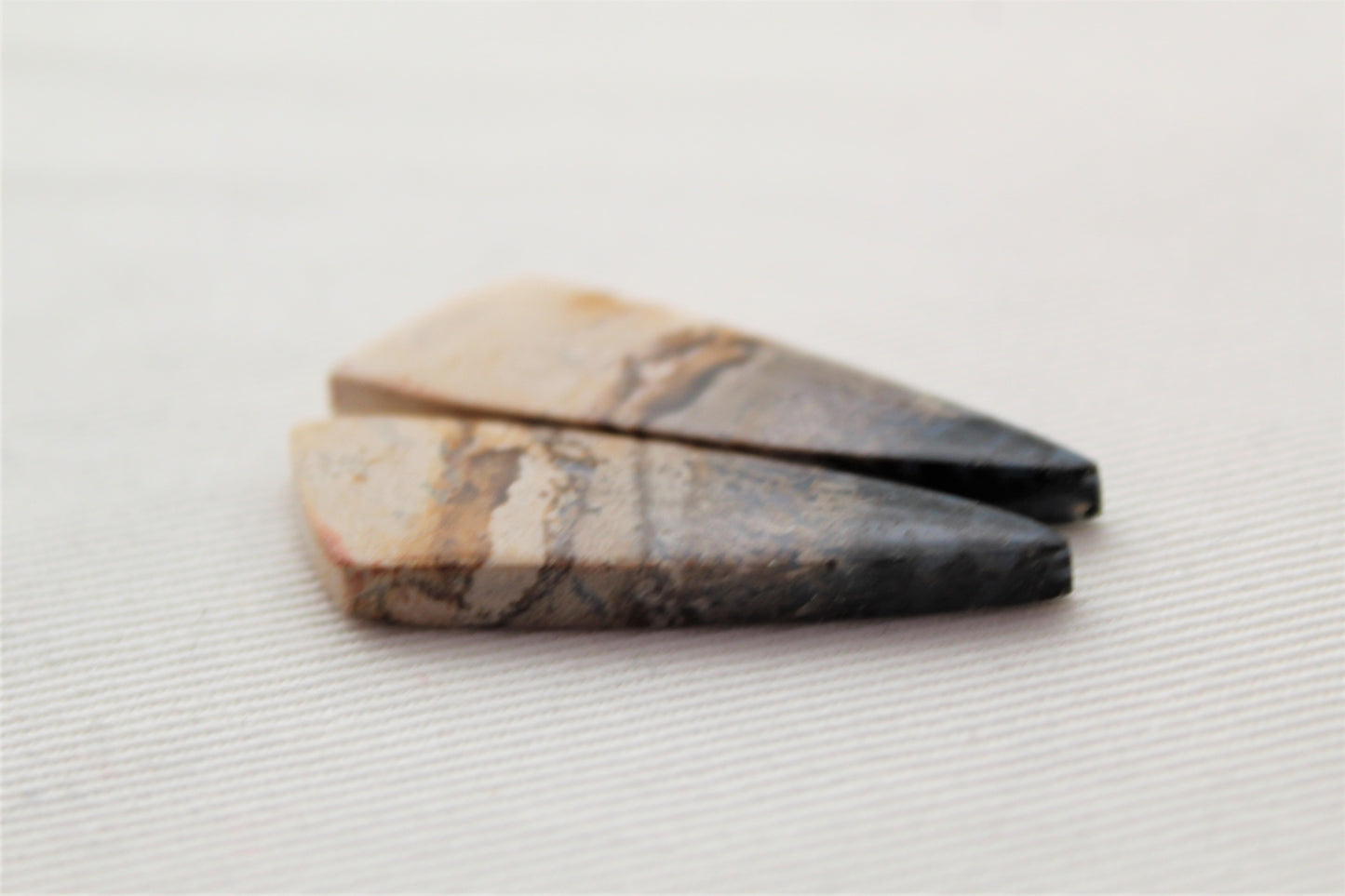 Nice Petrified Palm Wood Cabochon Pair