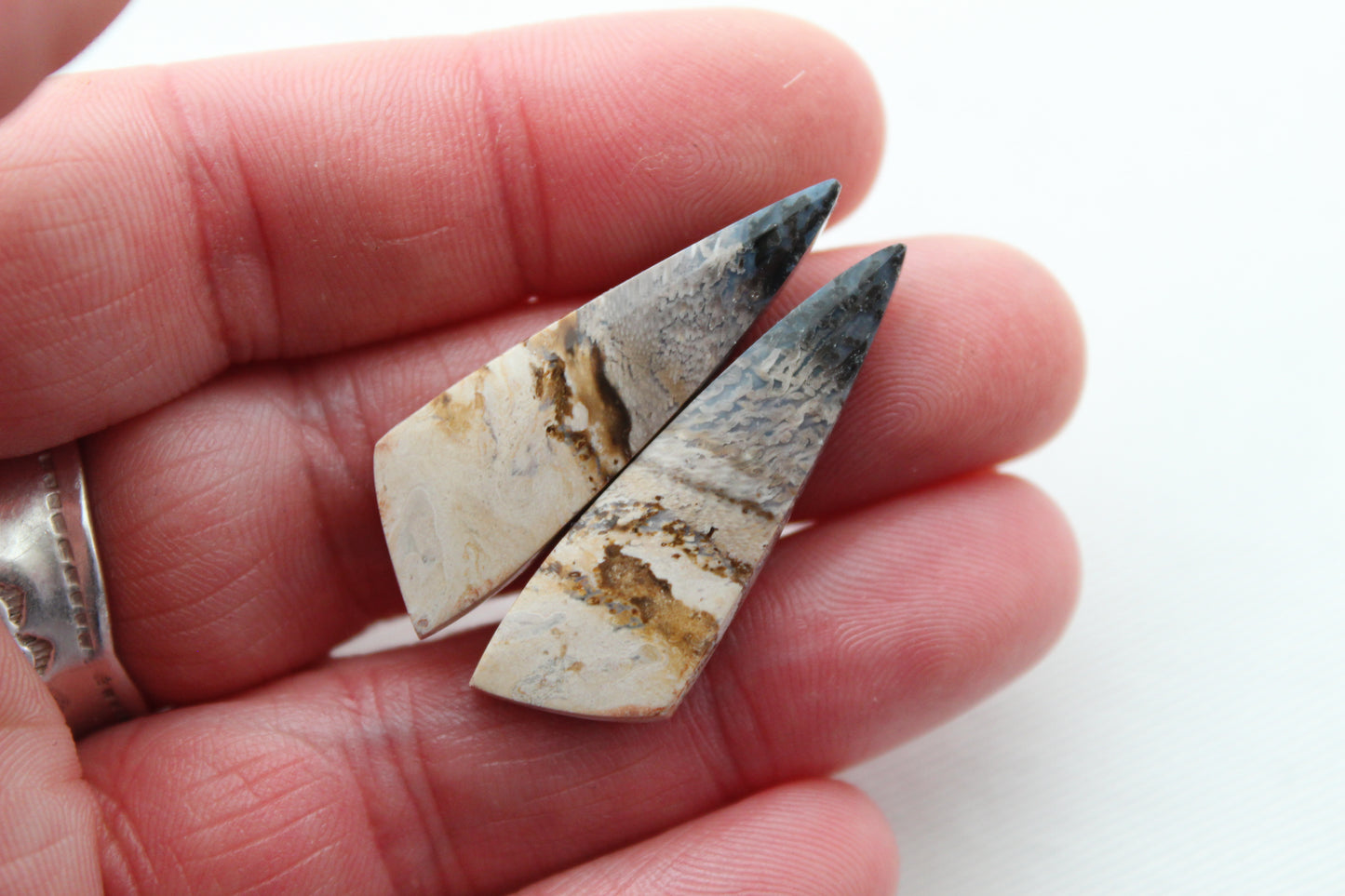 Nice Petrified Palm Wood Cabochon Pair