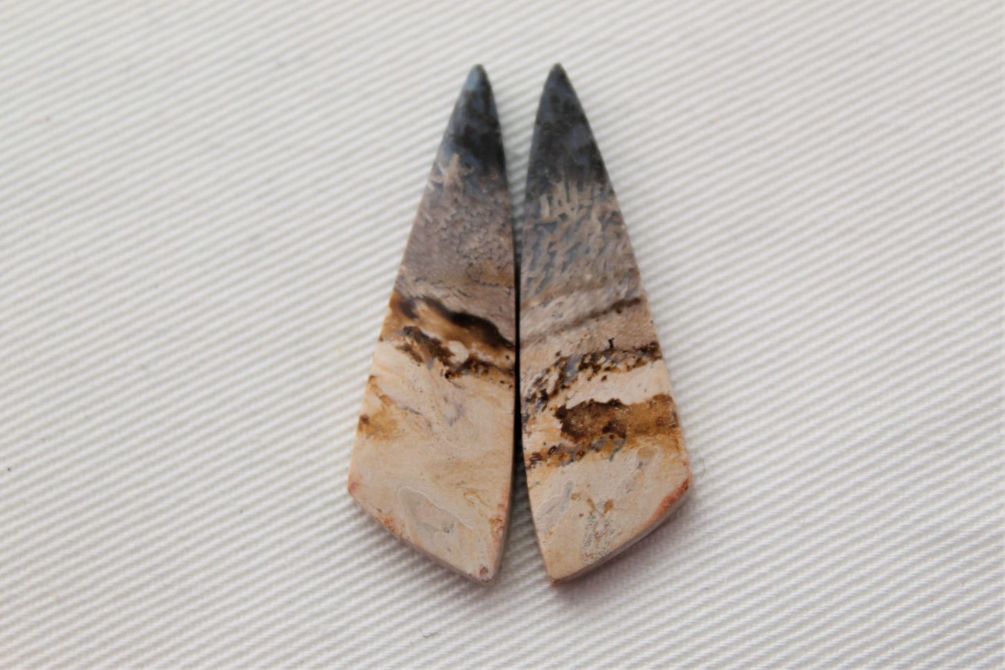 Nice Petrified Palm Wood Cabochon Pair