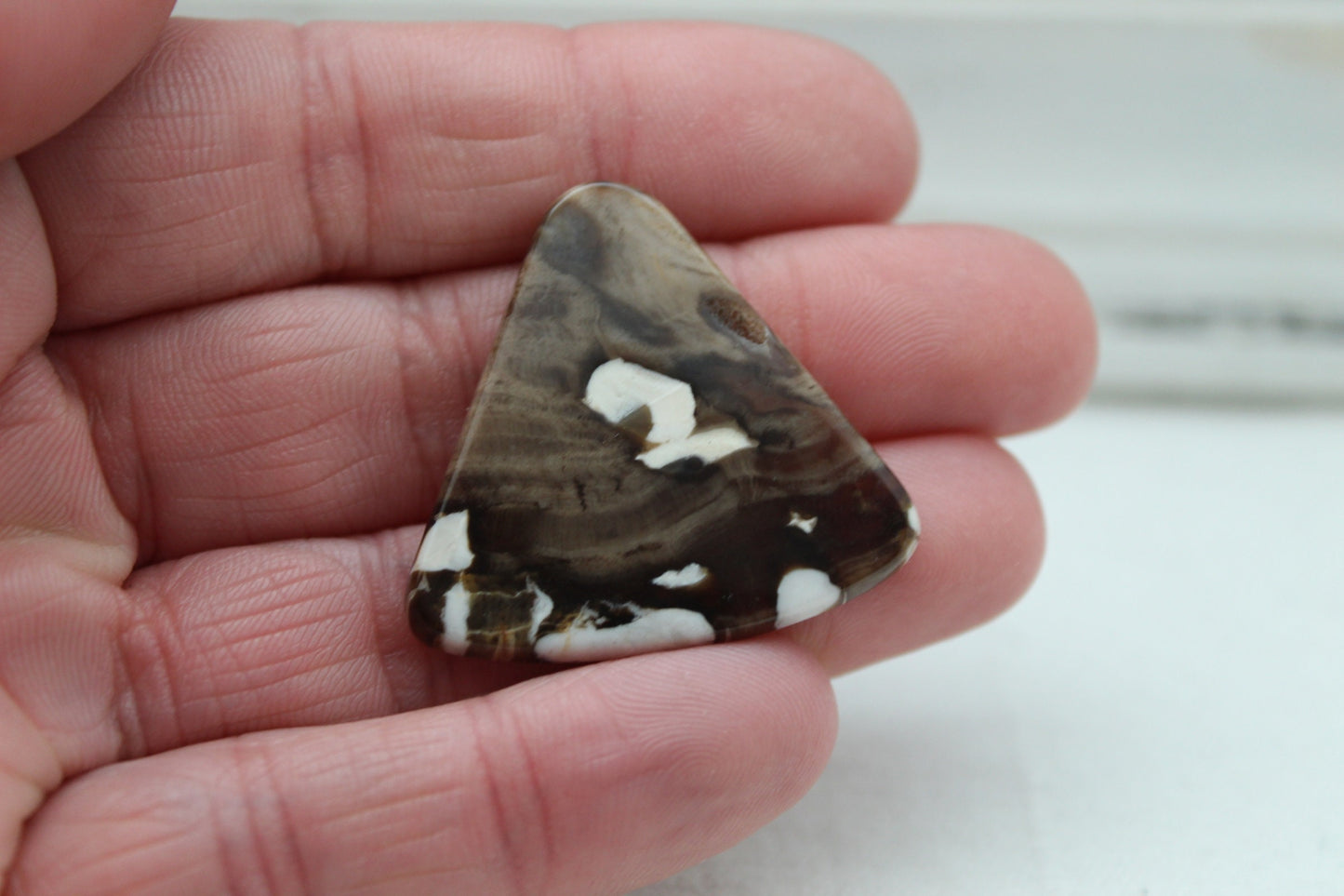 Large Peanut wood Cabochon Gemstone freeform