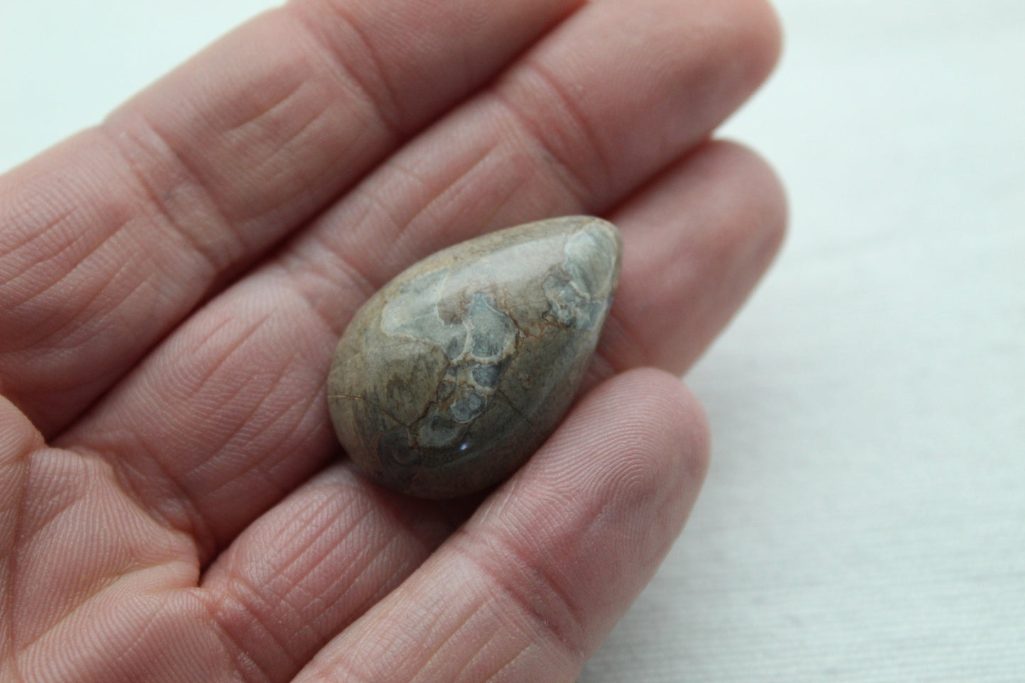 Fossil Cabochon Gemstone Pear shape