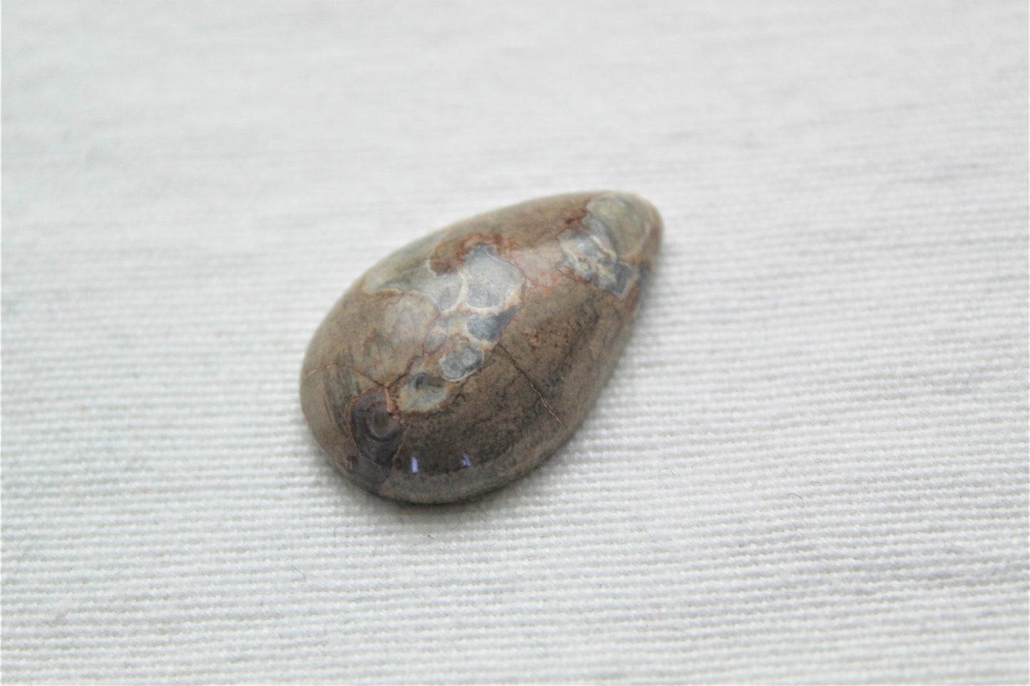 Fossil Cabochon Gemstone Pear shape