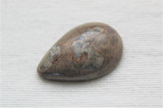 Fossil Cabochon Gemstone Pear shape