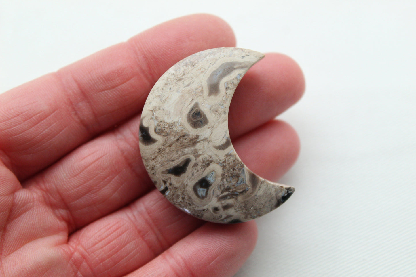 Un croissant de lune cabochon en bois de palmier pétrifié