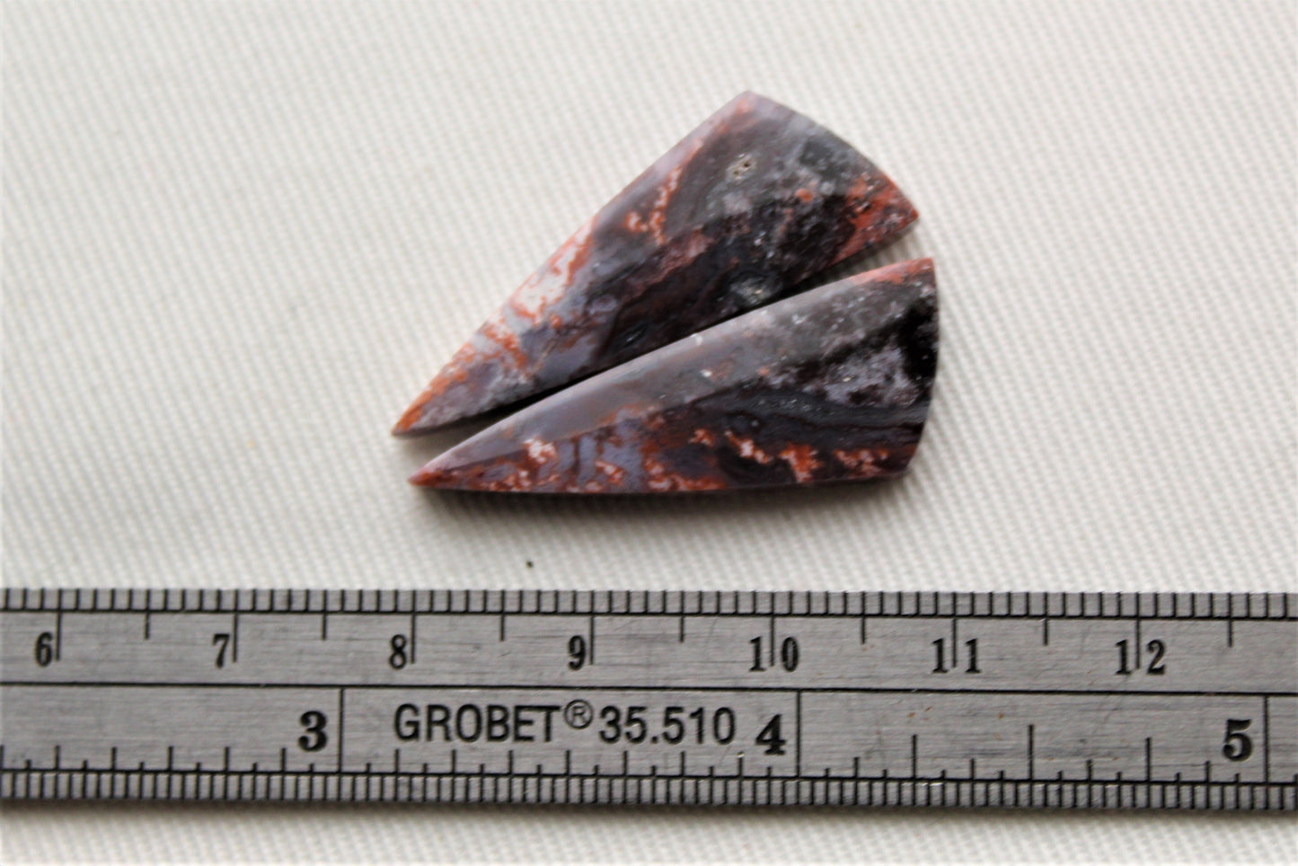 Nice pair of Petrified Wood Cisero Cabochons