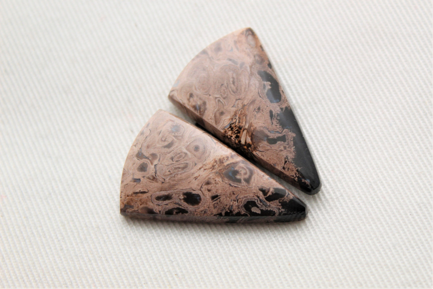 Petrified Palm Wood Cabochon Pair triangle