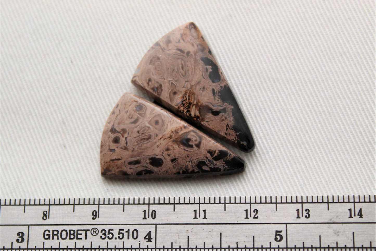 Petrified Palm Wood Cabochon Pair triangle