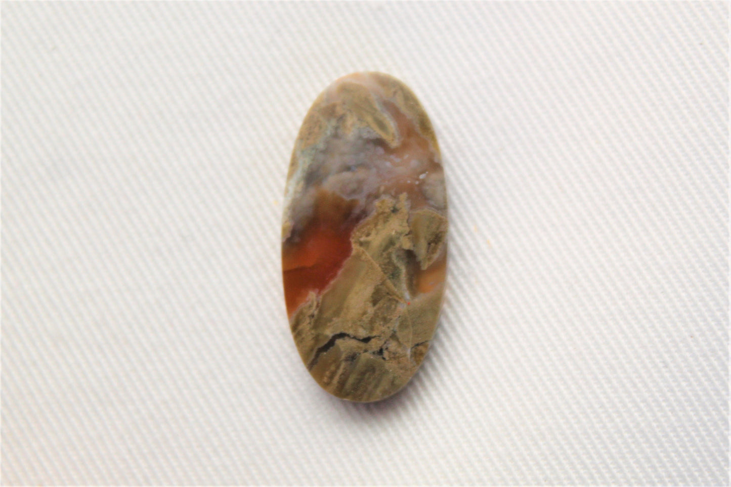 Cabochon bois opalisé pierre naturelle ovale