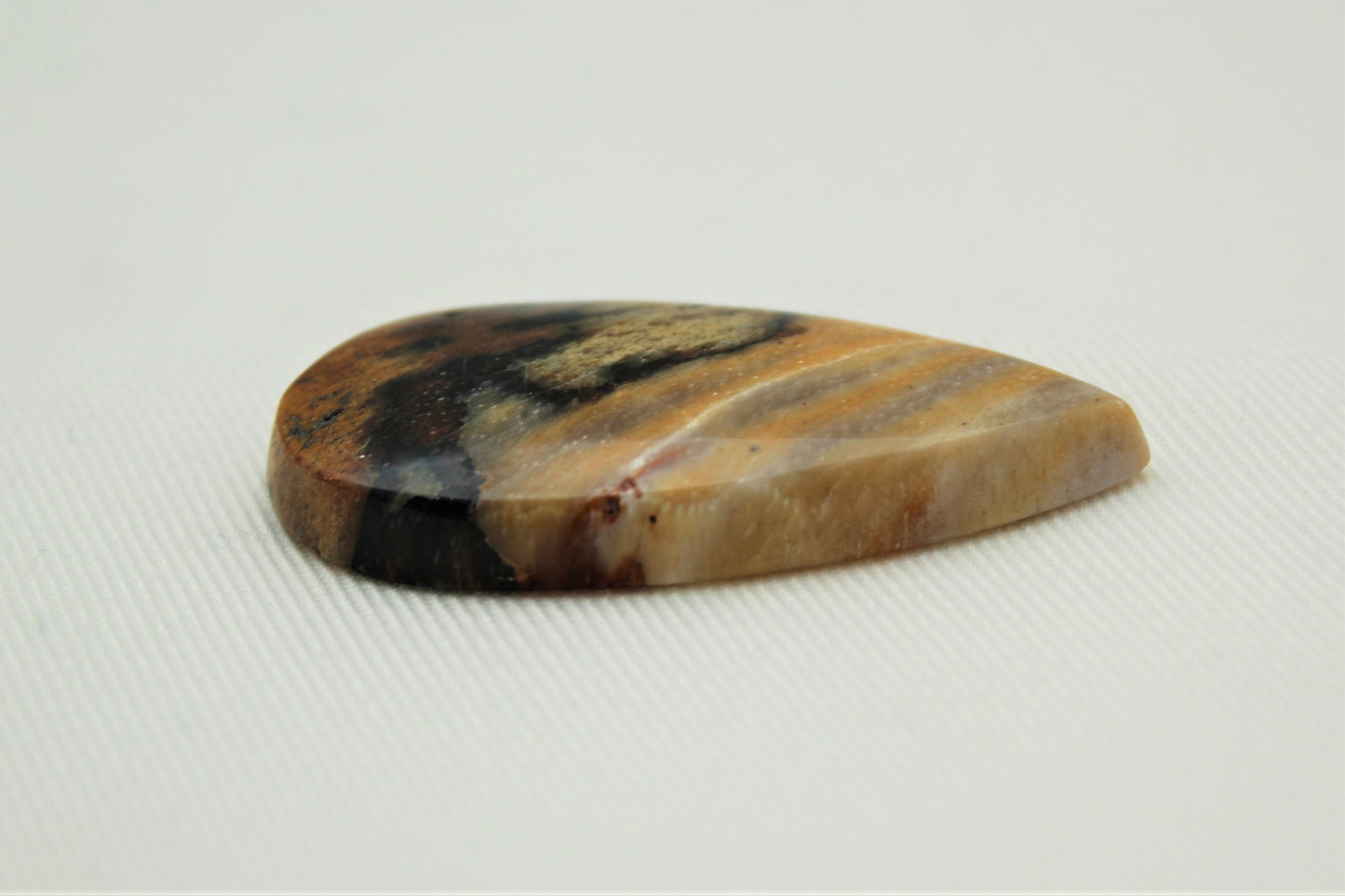 Fossil Wood Gemstone teardrop