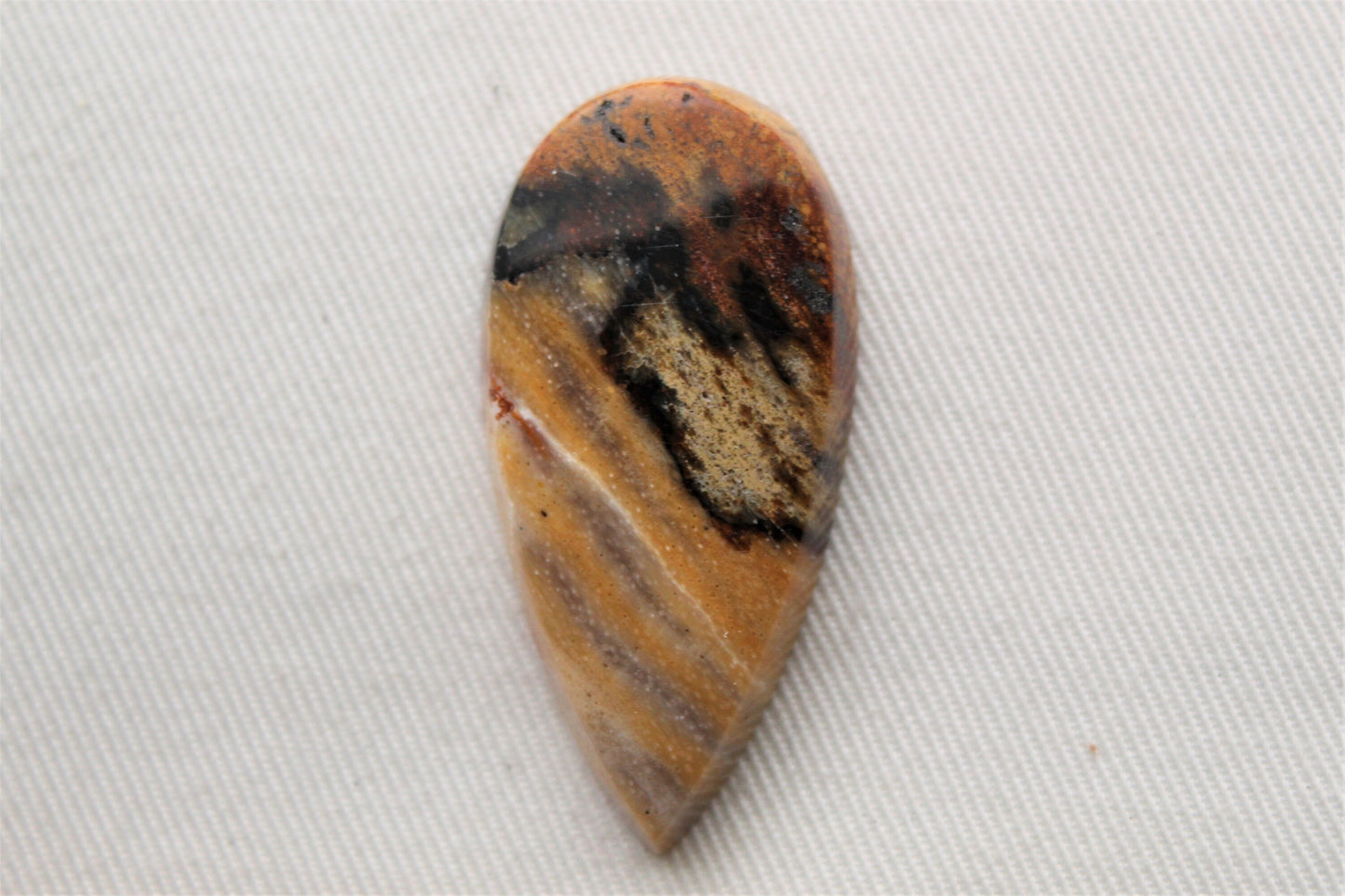 Fossil Wood Gemstone teardrop