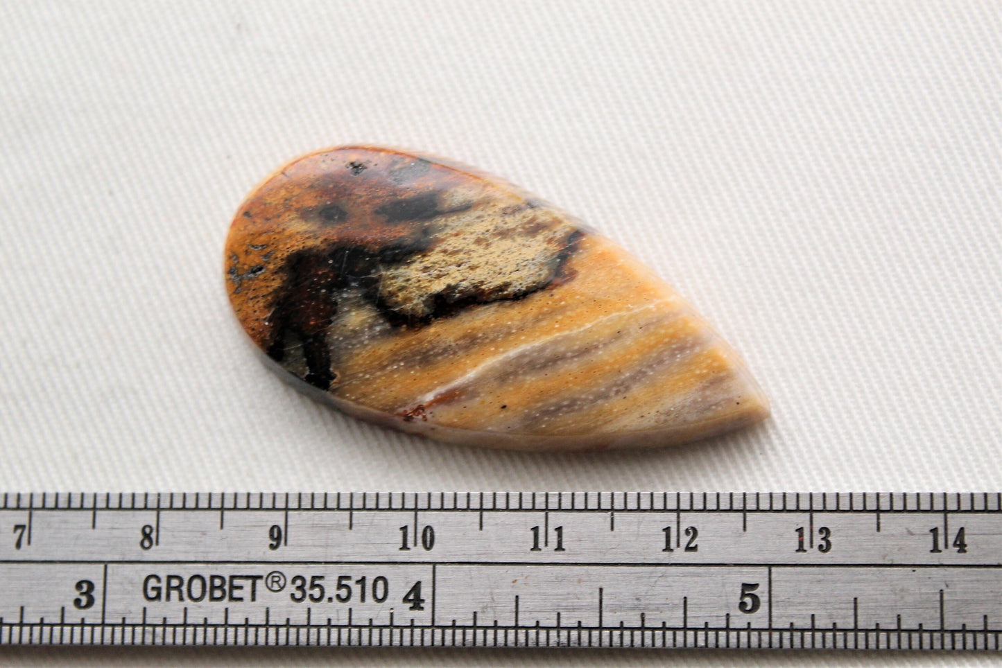 Fossil Wood Gemstone teardrop