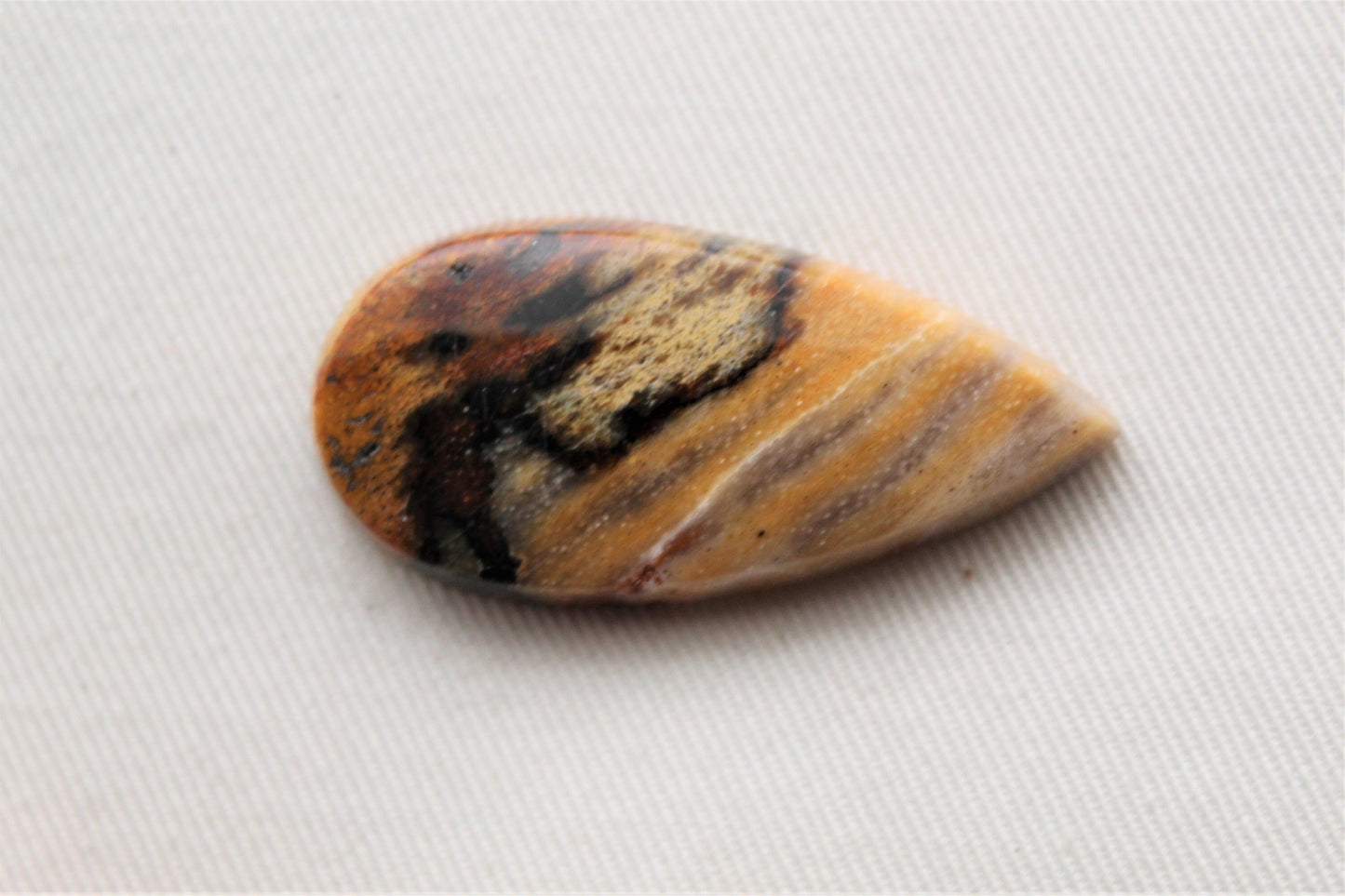 Fossil Wood Gemstone teardrop