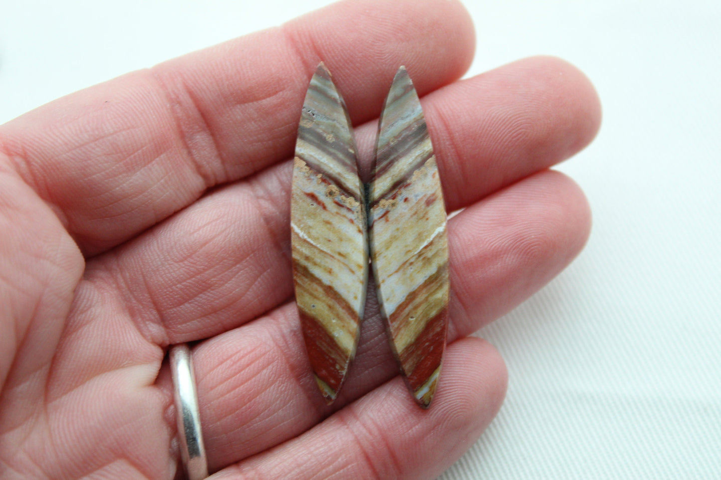 Marquise pair of Petrified Wood Cabochons red