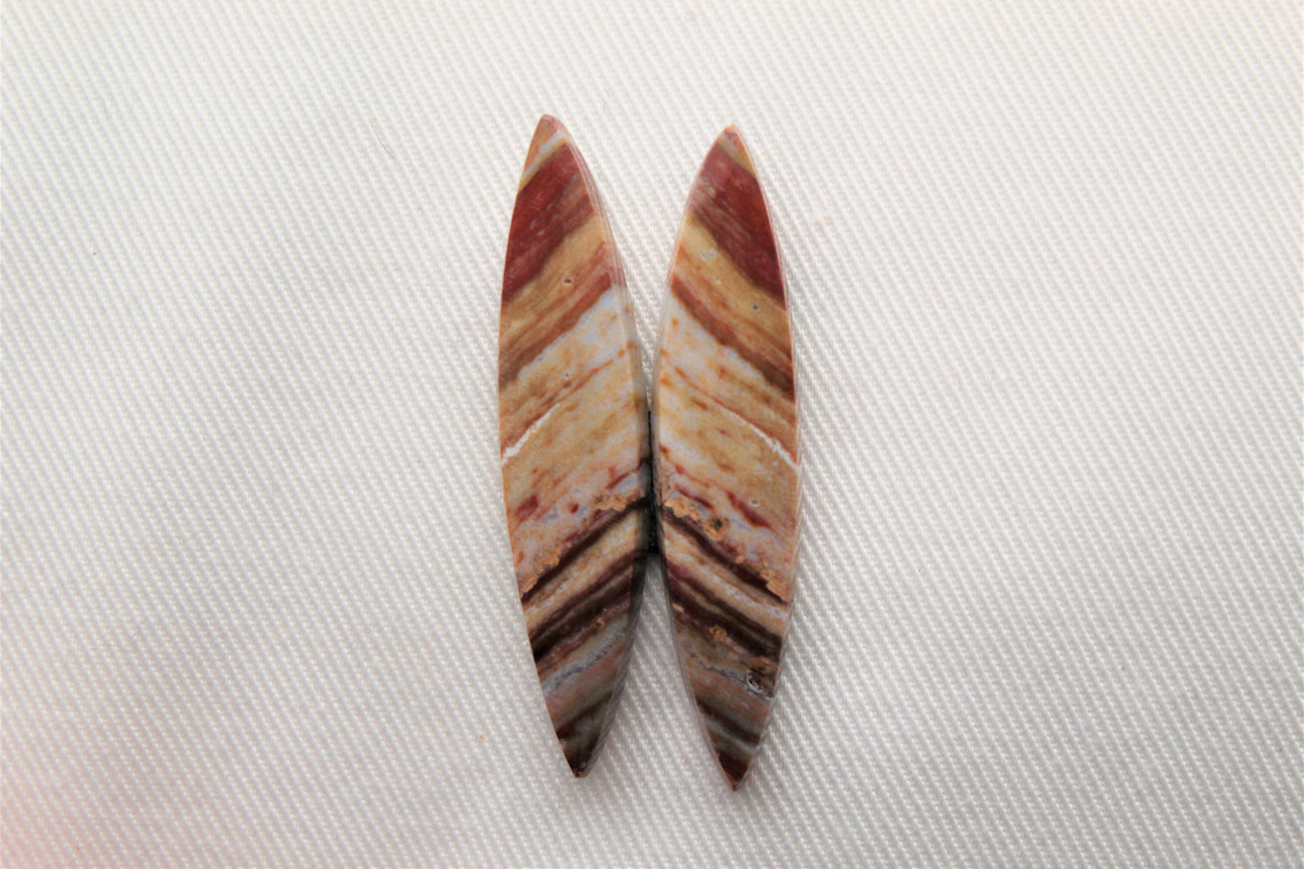 Marquise pair of Petrified Wood Cabochons red