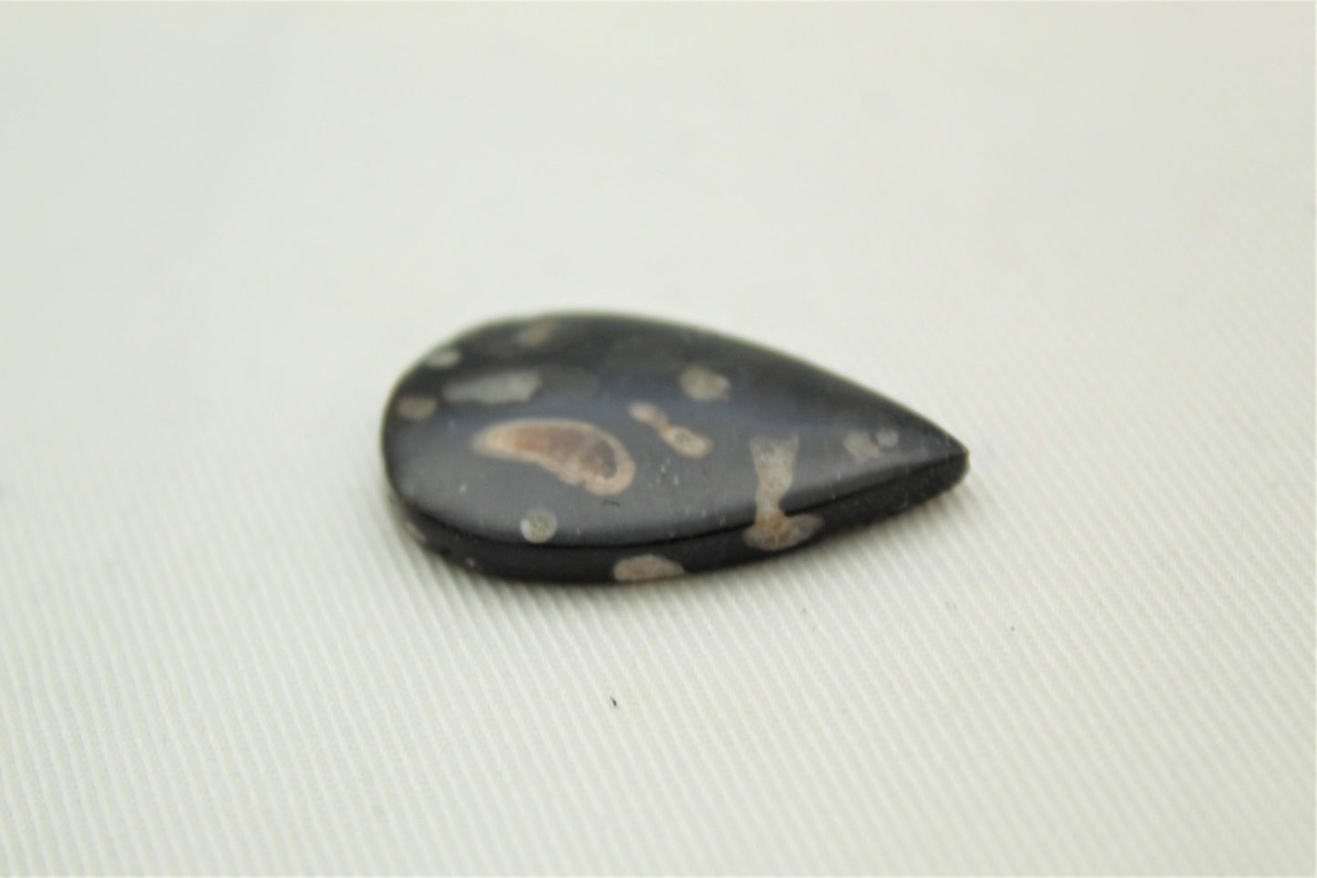 Cabochon en bois fossile indonésien Gemstone Teardrop noir