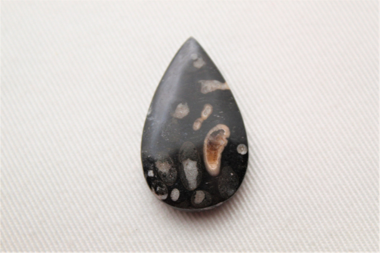 Cabochon en bois fossile indonésien Gemstone Teardrop noir