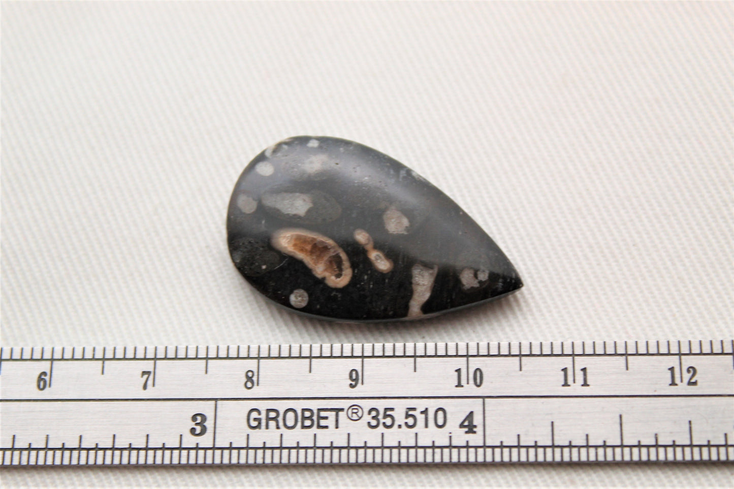 Cabochon en bois fossile indonésien Gemstone Teardrop noir