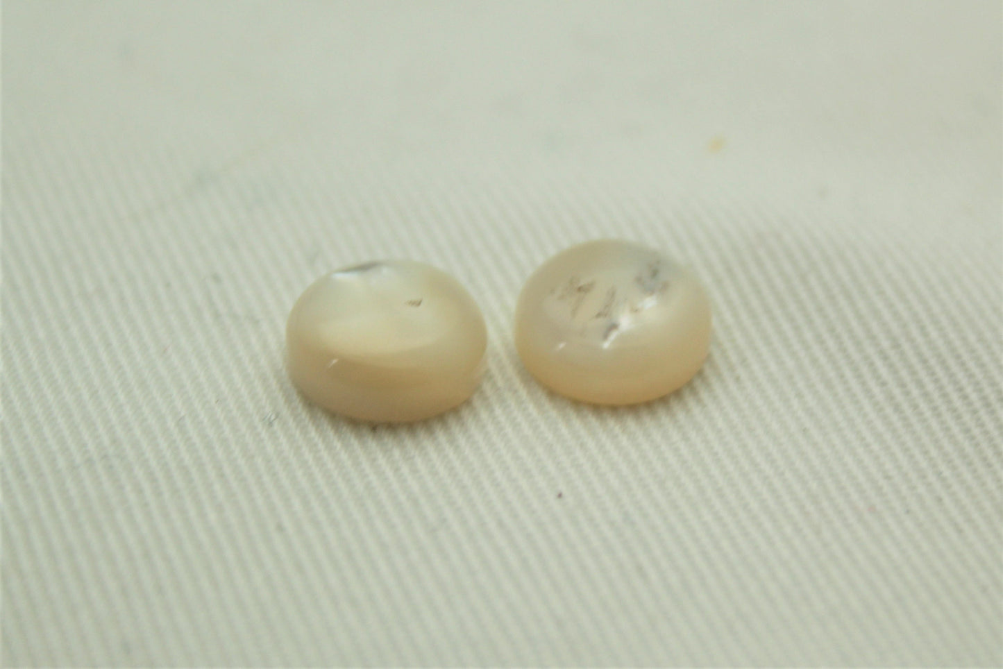 TWO Mother of Pearl cabochons Gemstones round 10MM