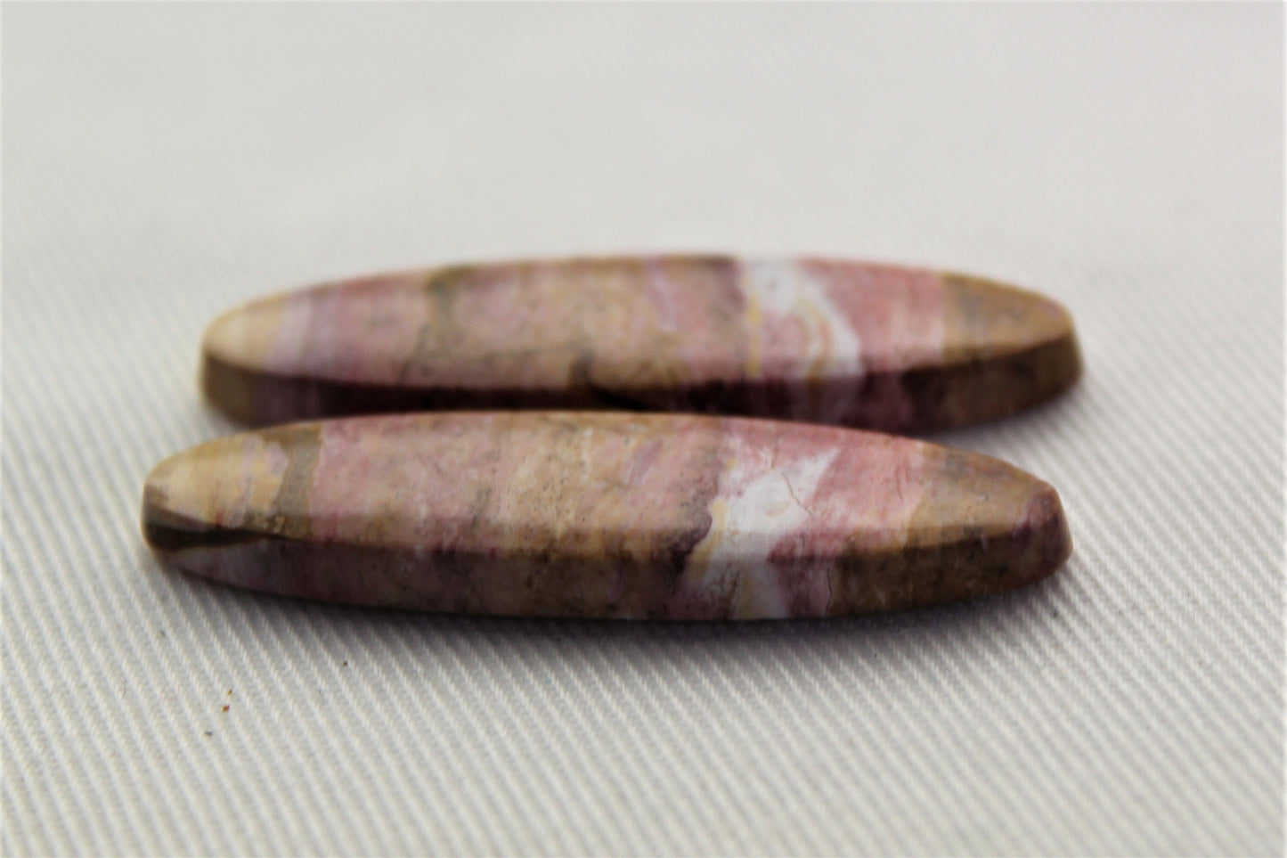 Pink Fossil Wood Pair of Gemstones cabochon natural oval