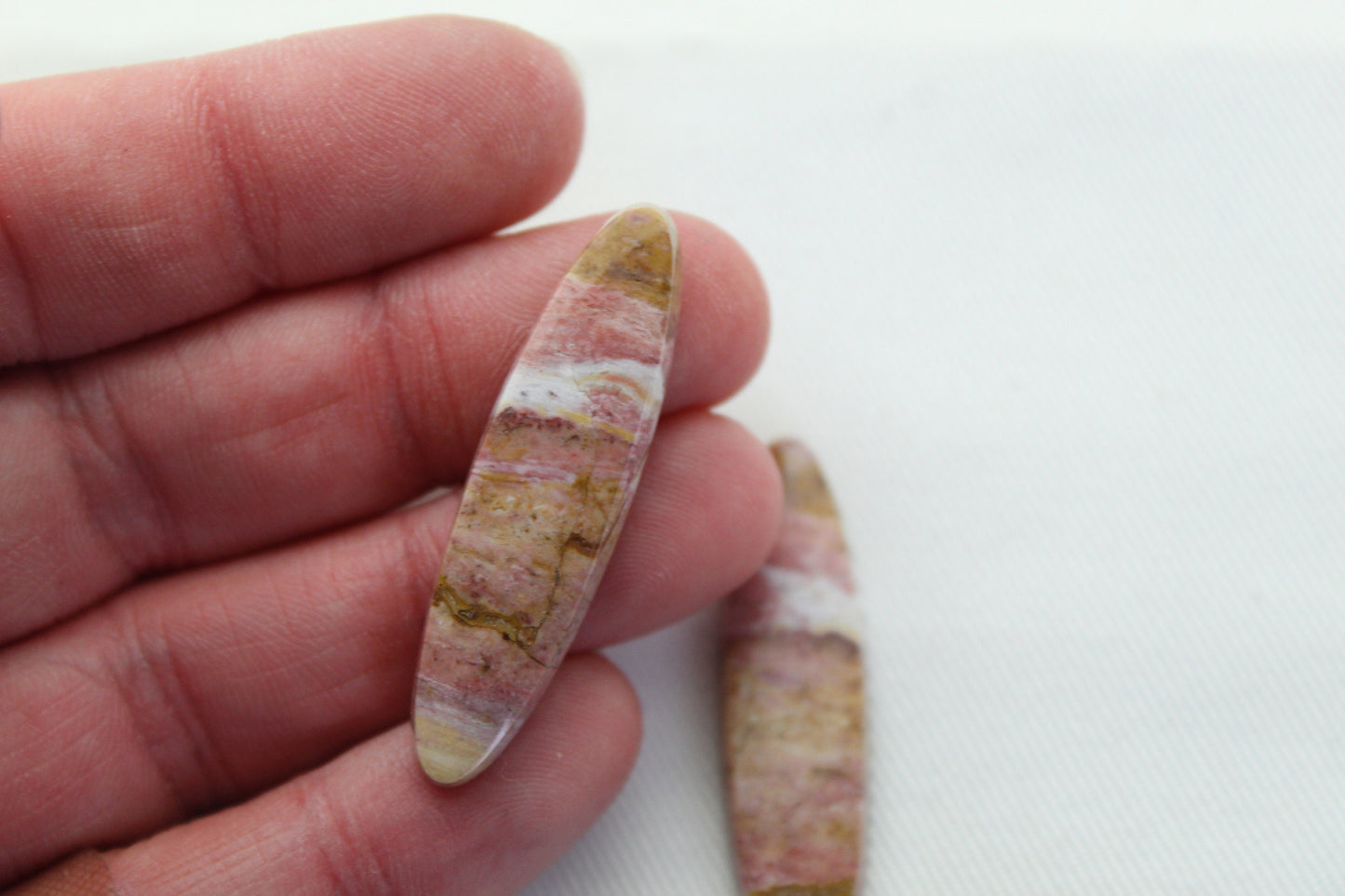 Pink Fossil Wood Pair of Gemstones cabochon natural oval